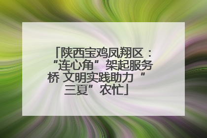 陕西宝鸡凤翔区：“连心角”架起服务桥 文明实践助力“三夏”农忙