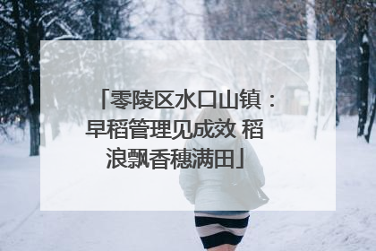 零陵区水口山镇：早稻管理见成效 稻浪飘香穗满田