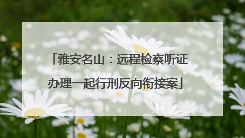 雅安名山：远程检察听证 办理一起行刑反向衔接案