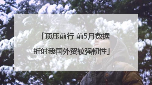 顶压前行 前5月数据折射我国外贸较强韧性