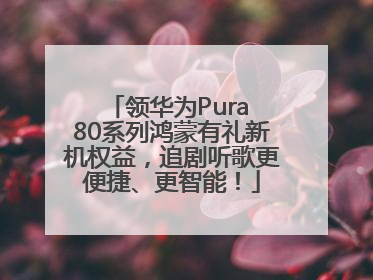 领华为Pura 80系列鸿蒙有礼新机权益，追剧听歌更便捷、更智能！