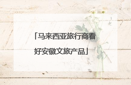 马来西亚旅行商看好安徽文旅产品