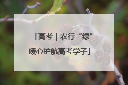 高考｜农行“绿”暖心护航高考学子