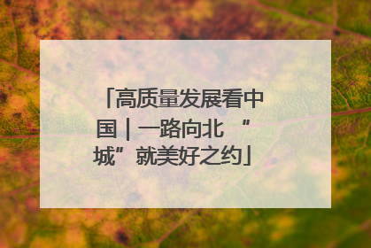 高质量发展看中国｜一路向北 “城”就美好之约