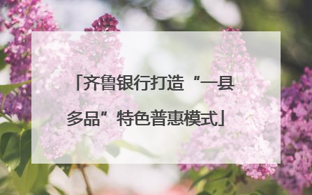 齐鲁银行打造“一县多品”特色普惠模式