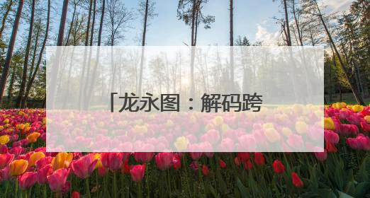 龙永图：解码跨境电商“河南模式”的全球竞争力