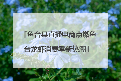鱼台县直播电商点燃鱼台龙虾消费季新热潮