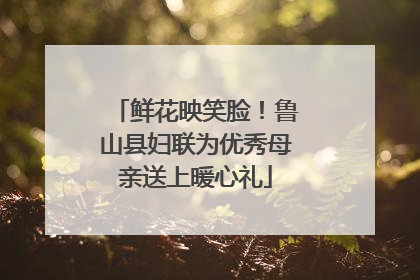 鲜花映笑脸！鲁山县妇联为优秀母亲送上暖心礼