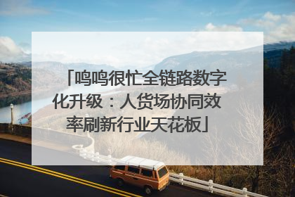 鸣鸣很忙全链路数字化升级：人货场协同效率刷新行业天花板