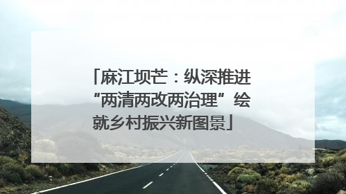麻江坝芒：纵深推进“两清两改两治理”绘就乡村振兴新图景