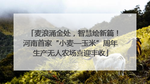 麦浪涌金处，智慧绘新篇！河南首家“小麦—玉米”周年生产无人农场喜迎丰收
