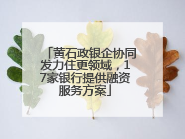 黄石政银企协同发力住更领域，17家银行提供融资服务方案