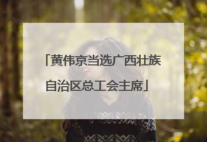 黄伟京当选广西壮族自治区总工会主席