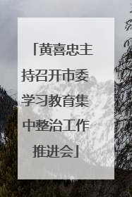 黄喜忠主持召开市委学习教育集中整治工作推进会