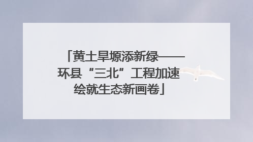 黄土旱塬添新绿——环县“三北”工程加速绘就生态新画卷