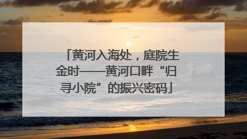 黄河入海处，庭院生金时——黄河口畔“归寻小院”的振兴密码