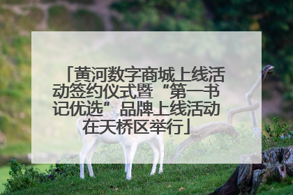 黄河数字商城上线活动签约仪式暨“第一书记优选”品牌上线活动在天桥区举行