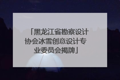 黑龙江省勘察设计协会冰雪创意设计专业委员会揭牌