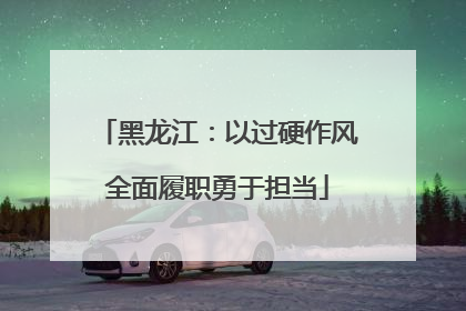 黑龙江：以过硬作风全面履职勇于担当