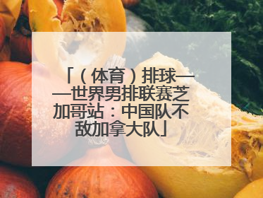 （体育）排球——世界男排联赛芝加哥站：中国队不敌加拿大队