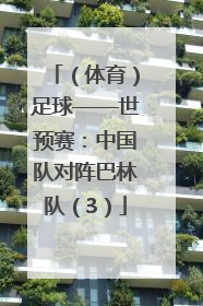 （体育）足球——世预赛：中国队对阵巴林队（3）