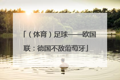 （体育）足球——欧国联：德国不敌葡萄牙