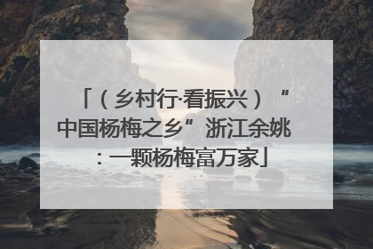 （乡村行·看振兴）“中国杨梅之乡”浙江余姚：一颗杨梅富万家