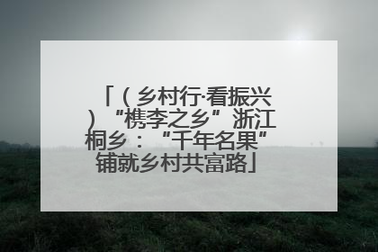 （乡村行·看振兴）“槜李之乡”浙江桐乡：“千年名果”铺就乡村共富路