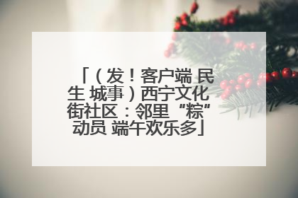 （发！客户端 民生 城事）西宁文化街社区：邻里“粽”动员 端午欢乐多