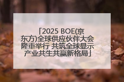 2025 BOE(京东方)全球供应伙伴大会隆重举行 共筑全球显示产业共生共赢新格局