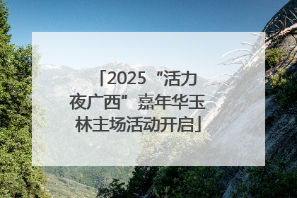 2025“活力夜广西”嘉年华玉林主场活动开启