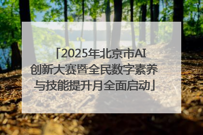 2025年北京市AI创新大赛暨全民数字素养与技能提升月全面启动