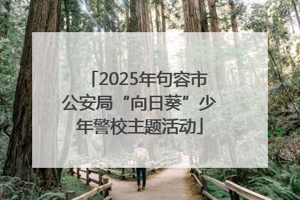 2025年句容市公安局“向日葵”少年警校主题活动