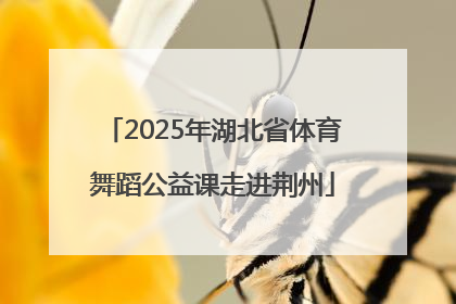 2025年湖北省体育舞蹈公益课走进荆州