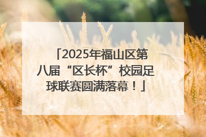 2025年福山区第八届“区长杯”校园足球联赛圆满落幕！
