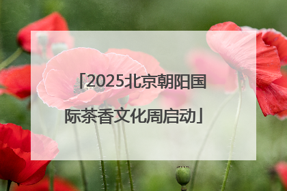 2025北京朝阳国际茶香文化周启动