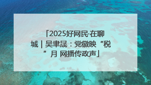 2025好网民·在聊城｜吴聿晟：党徽映“税”月 网播传政声