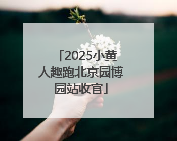2025小黄人趣跑北京园博园站收官