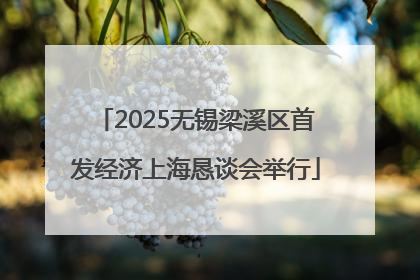 2025无锡梁溪区首发经济上海恳谈会举行