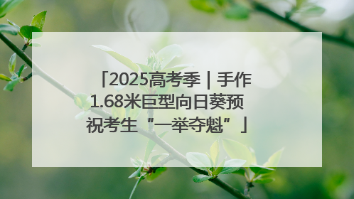 2025高考季｜手作1.68米巨型向日葵预祝考生“一举夺魁”