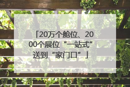 20万个舱位、2000个展位“一站式”送到“家门口”