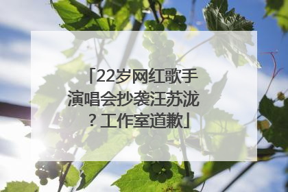 22岁网红歌手演唱会抄袭汪苏泷？工作室道歉