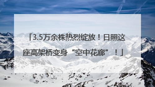 3.5万余株热烈绽放！日照这座高架桥变身“空中花廊”！