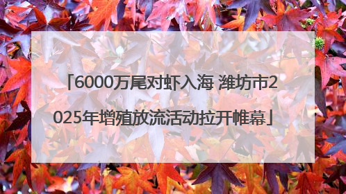 6000万尾对虾入海 潍坊市2025年增殖放流活动拉开帷幕