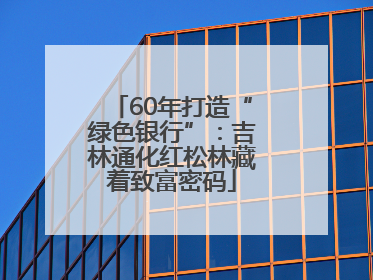 60年打造“绿色银行”：吉林通化红松林藏着致富密码