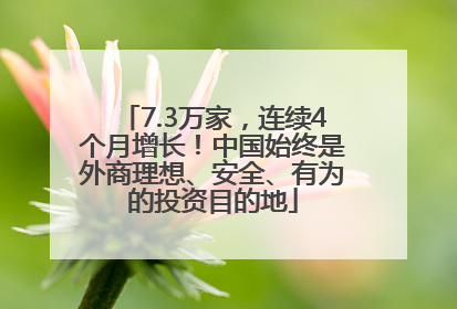 7.3万家，连续4个月增长！中国始终是外商理想、安全、有为的投资目的地