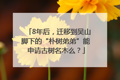 8年后，迁移到吴山脚下的“朴树弟弟”能申请古树名木么？