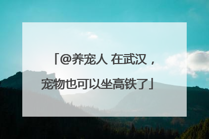 @养宠人 在武汉，宠物也可以坐高铁了