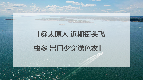 @太原人 近期街头飞虫多 出门少穿浅色衣