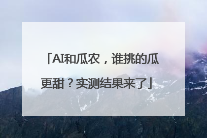 AI和瓜农，谁挑的瓜更甜？实测结果来了